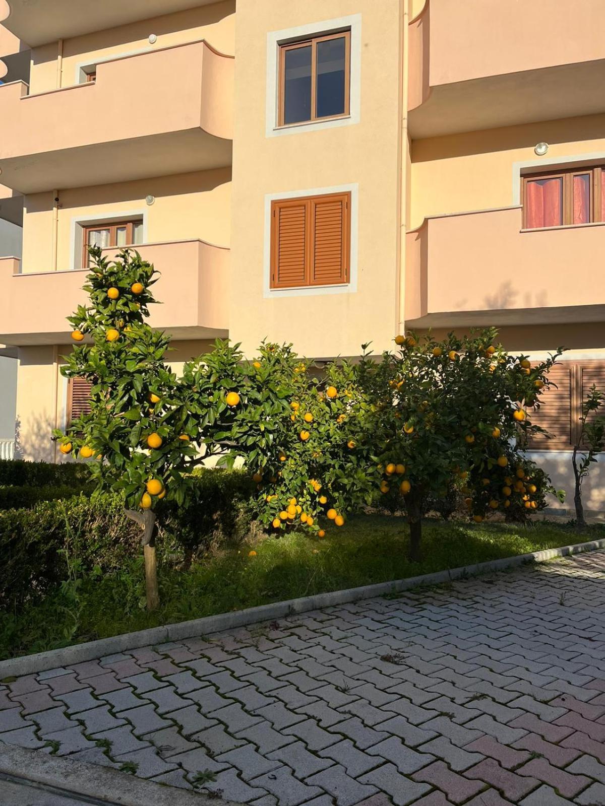 Villa Dei Limoni Shkallnur Экстерьер фото