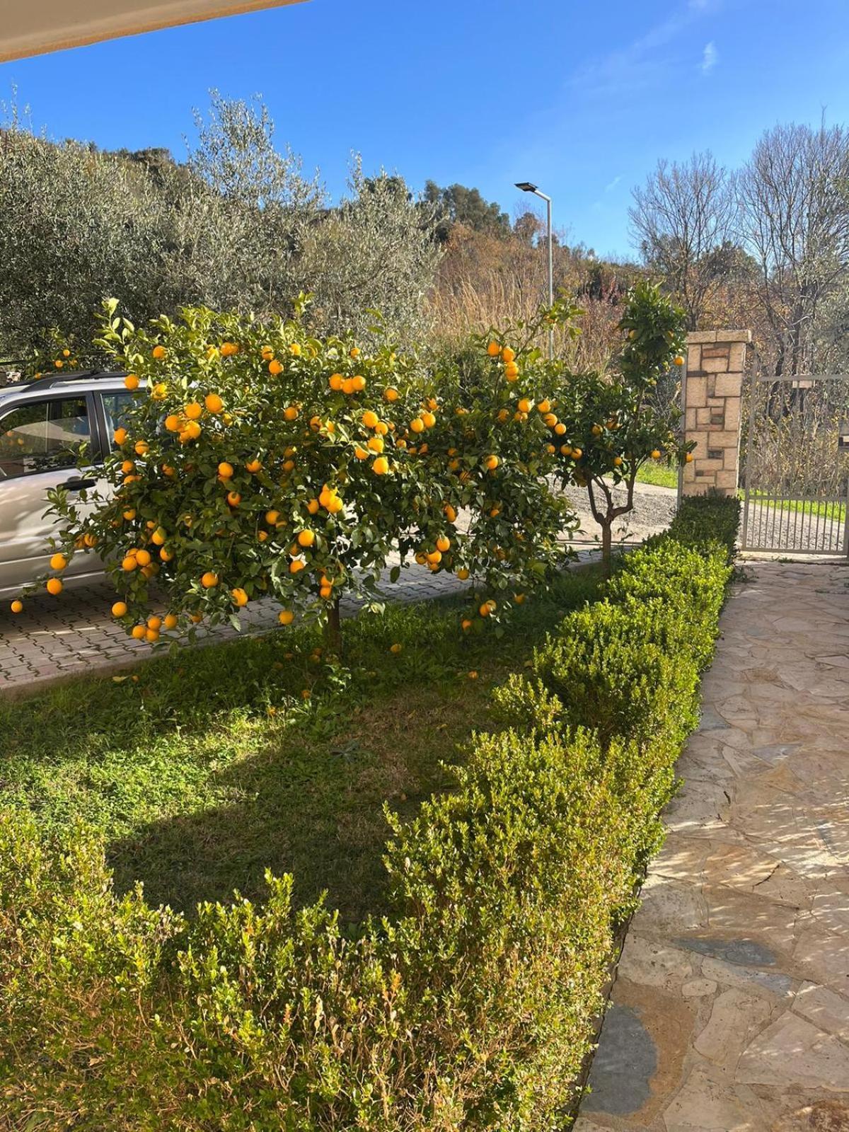 Villa Dei Limoni Shkallnur Экстерьер фото